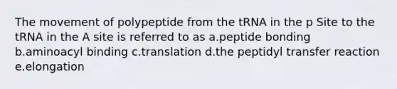 The movement of polypeptide from the tRNA in the p Site to the tRNA in the A site is referred to as a.peptide bonding b.aminoacyl binding c.translation d.the peptidyl transfer reaction e.elongation