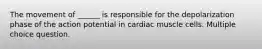 The movement of ______ is responsible for the depolarization phase of the action potential in cardiac muscle cells. Multiple choice question.