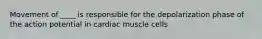 Movement of ____ is responsible for the depolarization phase of the action potential in cardiac muscle cells