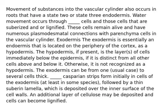 Movement of substances into the vascular cylinder also occurs in roots that have a state two or state three endodermis. Water movement occurs through _____ cells and those cells that are suberized and or lignified. These cells remain alive and have numerous plasmodesmatal connections with parenchyma cells in the vascular cylinder. Exodermis The exodermis is essentially an endoermis that is located on the periphery of the cortex, as a hypodermis. The hypodermis, if present, is the layer(s) of cells immediately below the epidermis, if it is distinct from all other cells above and below it. Otherwise, it is not recognized as a hypodermis. The exodermis can be from one (usual case) to several cells thick. _____ casparian strips form initially in cells of the exodermis (at least in some species), followed by a thin suberin lamella, which is deposited over the inner surface of the cell walls. An additional layer of cellulose may be deposited and cells can become lignified.