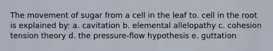 The movement of sugar from a cell in the leaf to. cell in the root is explained by: a. cavitation b. elemental allelopathy c. cohesion tension theory d. the pressure-flow hypothesis e. guttation