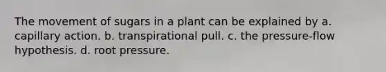 The movement of sugars in a plant can be explained by a. capillary action. b. transpirational pull. c. the pressure-flow hypothesis. d. root pressure.