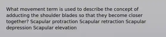 What movement term is used to describe the concept of adducting the shoulder blades so that they become closer together? Scapular protraction Scapular retraction Scapular depression Scapular elevation