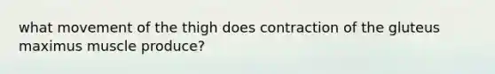 what movement of the thigh does contraction of the gluteus maximus muscle produce?