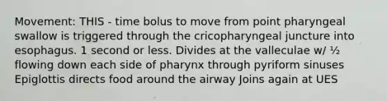 Movement: THIS - time bolus to move from point pharyngeal swallow is triggered through the cricopharyngeal juncture into esophagus. 1 second or less. Divides at the valleculae w/ ½ flowing down each side of pharynx through pyriform sinuses Epiglottis directs food around the airway Joins again at UES