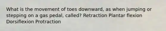 What is the movement of toes downward, as when jumping or stepping on a gas pedal, called? Retraction Plantar flexion Dorsiflexion Protraction