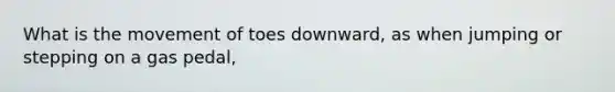 What is the movement of toes downward, as when jumping or stepping on a gas pedal,