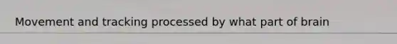 Movement and tracking processed by what part of brain