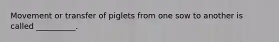 Movement or transfer of piglets from one sow to another is called __________.
