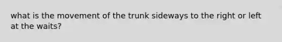 what is the movement of the trunk sideways to the right or left at the waits?