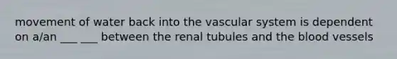 movement of water back into the vascular system is dependent on a/an ___ ___ between the renal tubules and the blood vessels