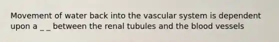 Movement of water back into the vascular system is dependent upon a _ _ between the renal tubules and the blood vessels