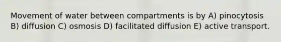 Movement of water between compartments is by A) pinocytosis B) diffusion C) osmosis D) facilitated diffusion E) active transport.