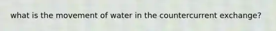 what is the movement of water in the countercurrent exchange?