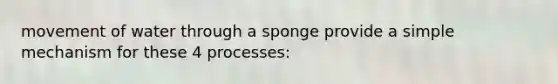 movement of water through a sponge provide a simple mechanism for these 4 processes: