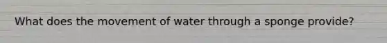 What does the movement of water through a sponge provide?