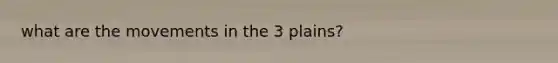 what are the movements in the 3 plains?