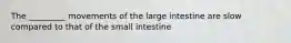 The _________ movements of the large intestine are slow compared to that of the small intestine