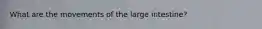 What are the movements of the large intestine?