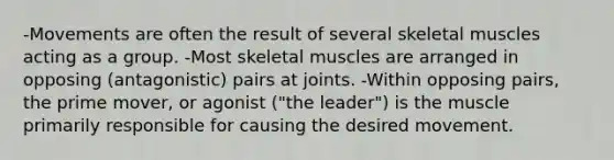 -Movements are often the result of several skeletal muscles acting as a group. -Most skeletal muscles are arranged in opposing (antagonistic) pairs at joints. -Within opposing pairs, the prime mover, or agonist ("the leader") is the muscle primarily responsible for causing the desired movement.