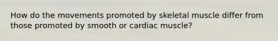 How do the movements promoted by skeletal muscle differ from those promoted by smooth or cardiac muscle?