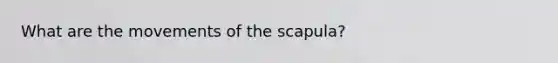 What are the movements of the scapula?