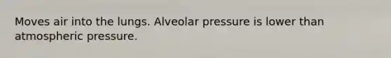 Moves air into the lungs. Alveolar pressure is lower than atmospheric pressure.