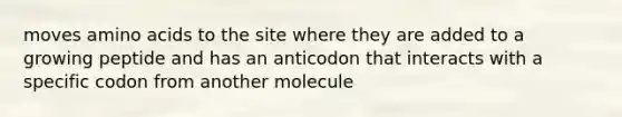 moves amino acids to the site where they are added to a growing peptide and has an anticodon that interacts with a specific codon from another molecule