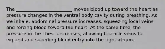 The ________________________ moves blood up toward the heart as pressure changes in the ventral body cavity during breathing. As we inhale, abdominal pressure increases, squeezing local veins and forcing blood toward the heart. At the same time, the pressure in the chest decreases, allowing thoracic veins to expand and speeding blood entry into the right atrium.