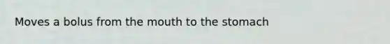 Moves a bolus from the mouth to the stomach