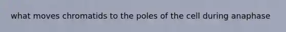 what moves chromatids to the poles of the cell during anaphase