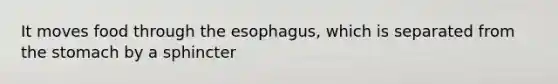 It moves food through the esophagus, which is separated from the stomach by a sphincter