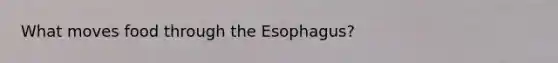 What moves food through the Esophagus?