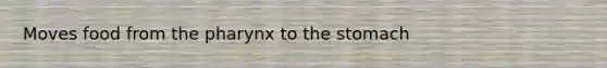 Moves food from the pharynx to the stomach