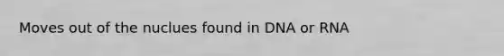 Moves out of the nuclues found in DNA or RNA