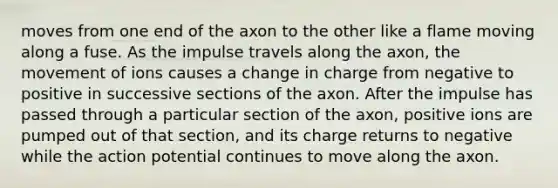 moves from one end of the axon to the other like a flame moving along a fuse. As the impulse travels along the axon, the movement of ions causes a change in charge from negative to positive in successive sections of the axon. After the impulse has passed through a particular section of the axon, positive ions are pumped out of that section, and its charge returns to negative while the action potential continues to move along the axon.