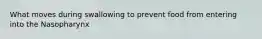 What moves during swallowing to prevent food from entering into the Nasopharynx
