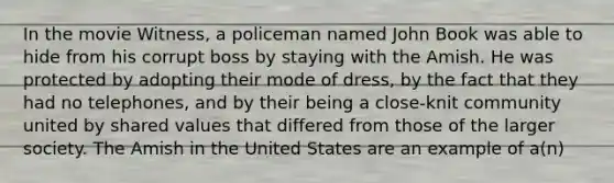 In the movie Witness, a policeman named John Book was able to hide from his corrupt boss by staying with the Amish. He was protected by adopting their mode of dress, by the fact that they had no telephones, and by their being a close-knit community united by shared values that differed from those of the larger society. The Amish in the United States are an example of a(n)