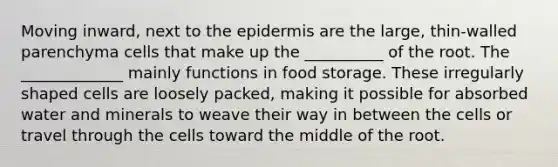 Moving inward, next to the epidermis are the large, thin-walled parenchyma cells that make up the __________ of the root. The _____________ mainly functions in food storage. These irregularly shaped cells are loosely packed, making it possible for absorbed water and minerals to weave their way in between the cells or travel through the cells toward the middle of the root.