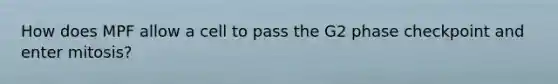 How does MPF allow a cell to pass the G2 phase checkpoint and enter mitosis?