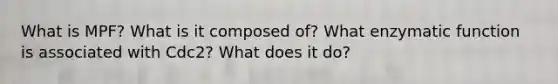 What is MPF? What is it composed of? What enzymatic function is associated with Cdc2? What does it do?