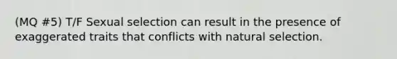 (MQ #5) T/F Sexual selection can result in the presence of exaggerated traits that conflicts with natural selection.