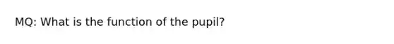 MQ: What is the function of the pupil?