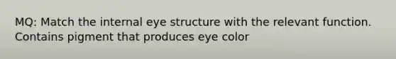 MQ: Match the internal eye structure with the relevant function. Contains pigment that produces eye color