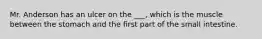 Mr. Anderson has an ulcer on the ___, which is the muscle between the stomach and the first part of the small intestine.