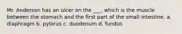 Mr. Anderson has an ulcer on the ___, which is the muscle between the stomach and the first part of the small intestine. a. diaphragm b. pylorus c. duodenum d. fundus