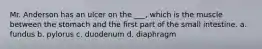 Mr. Anderson has an ulcer on the ___, which is the muscle between the stomach and the first part of the small intestine. a. fundus b. pylorus c. duodenum d. diaphragm