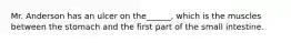 Mr. Anderson has an ulcer on the______, which is the muscles between the stomach and the first part of the small intestine.