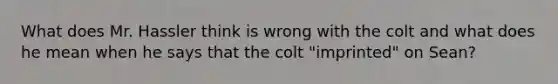 What does Mr. Hassler think is wrong with the colt and what does he mean when he says that the colt "imprinted" on Sean?