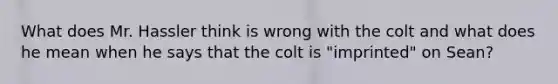 What does Mr. Hassler think is wrong with the colt and what does he mean when he says that the colt is "imprinted" on Sean?